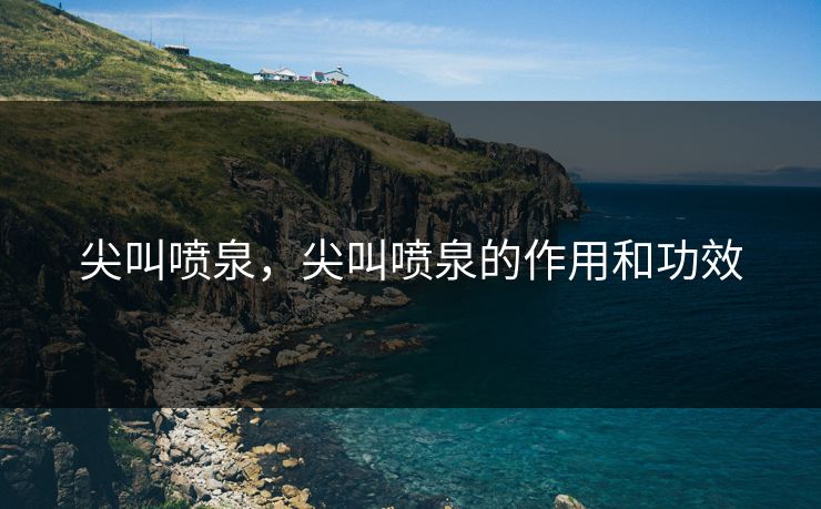 尖叫喷泉，尖叫喷泉的作用和功效