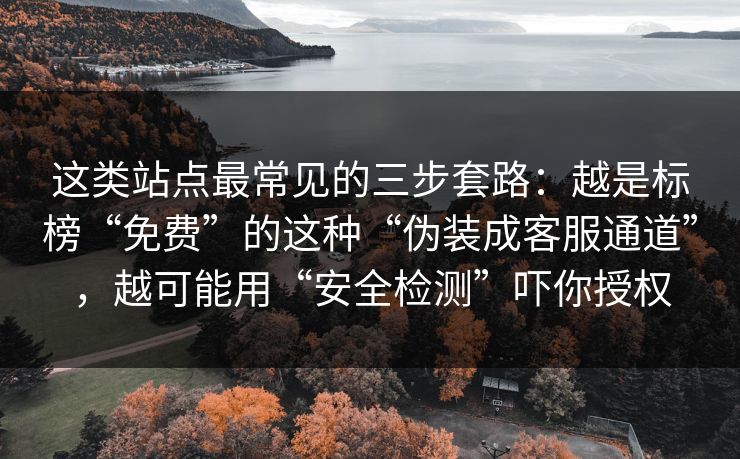 这类站点最常见的三步套路：越是标榜“免费”的这种“伪装成客服通道”，越可能用“安全检测”吓你授权